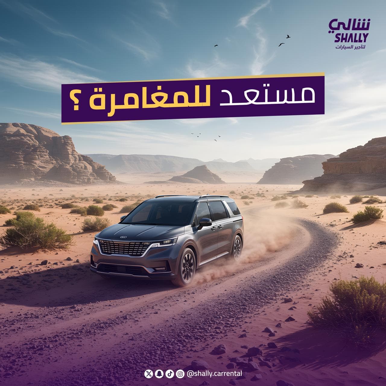 Shaly - Social Media Design by Barq Agency